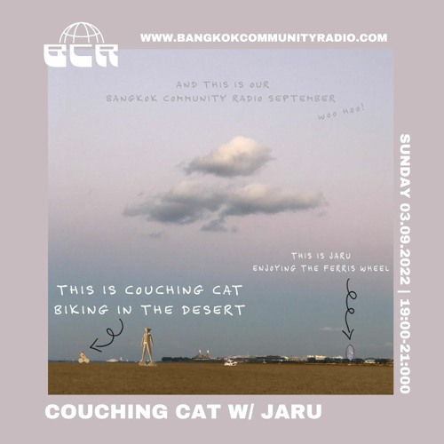 Couching Cat w/Jaru 4th September 2022