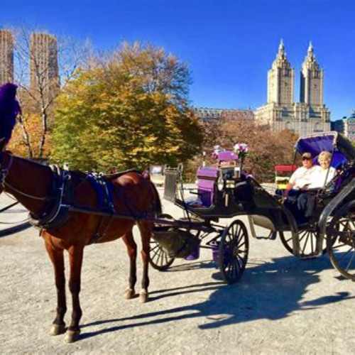 Review Special Price Carriage Ride In Central Park (Vip - Private) Since 1964™