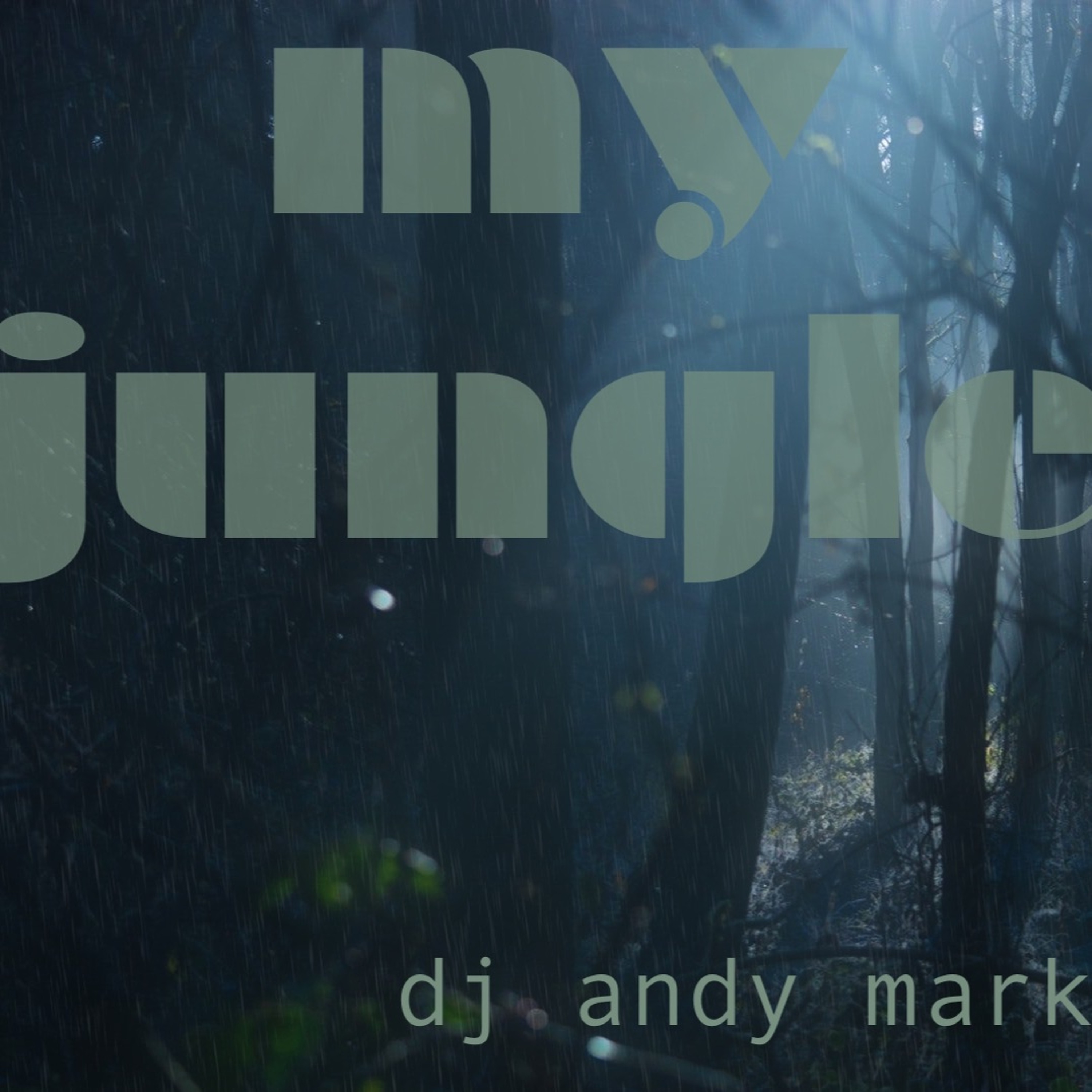 My Jungle episode artwork