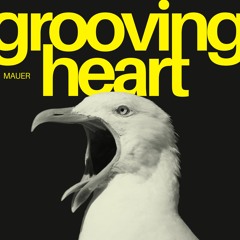 PREMIERE // MAUER - FRESH SALIVA
