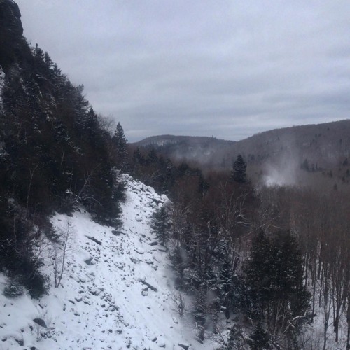 demo 1