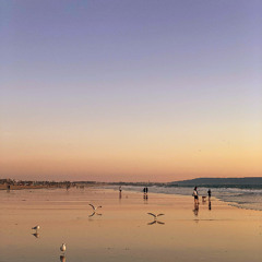 Children of The Sunset