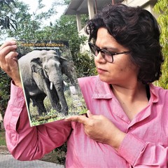 Radio Jingle Human - Elephant Coexistence (Maithili)