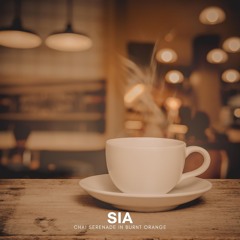 Chai Serenade in Burnt Orange