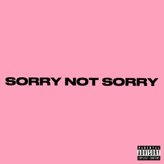 Sorry Not Sorry