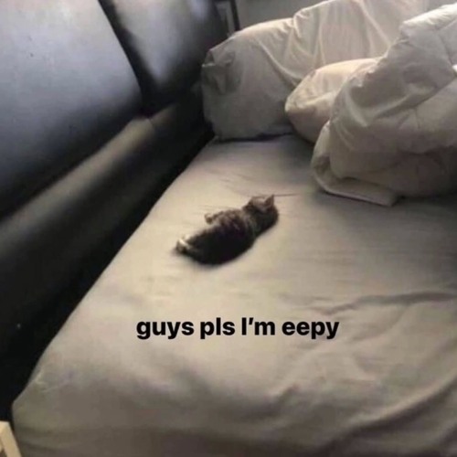 Nautti Redlight 2025🥵