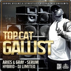 Topcat - Gallist (DJ Hybrid Remix)