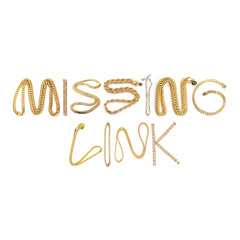Missing Link (Radio)