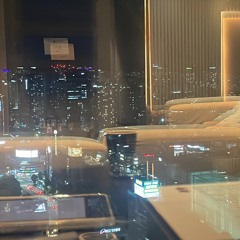 THE HYUNDAI.mp3 (f.acchibang)