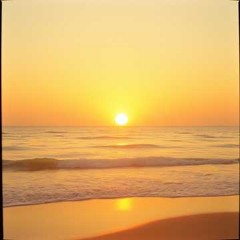 First Light Fades