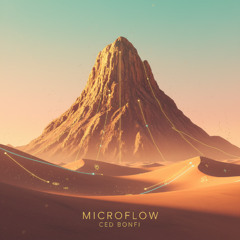 Microflow (Original Mix)