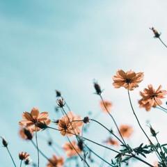 Love theme- Autumn in my heart