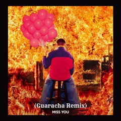 Miss You (Guaracha Remix) - Oliver Tree & VNDRL & Robin Schulz
