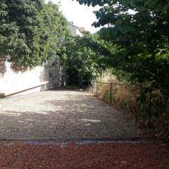 Dans La Descente Des Figuiers