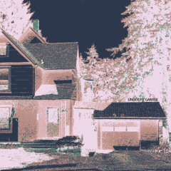 under my garage (odd mob edit)