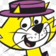 mr meowzers plow town