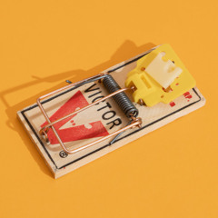MOUSETRAP+NB (@blorgworldwide x shoutababy!)