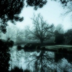 N e w M o o n / F o r e v e r