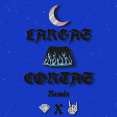 NOCHES LARGAS FALDAS CORTAS REMIX