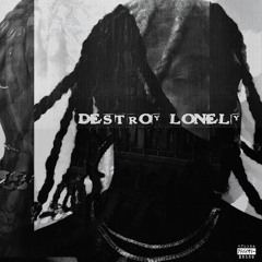 DESTROY LONELY