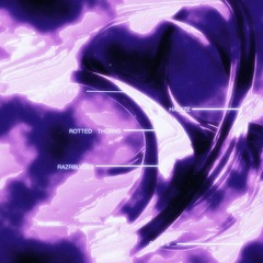 ROTTENED THORNS (REMIX) (PROD.HALYZE)