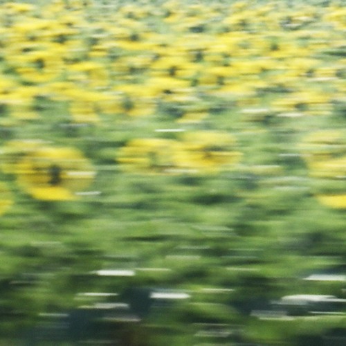 a soulmate who wasnt meant to be (cover)