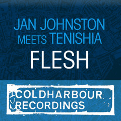 Flesh (Glenn Morrison Remix)