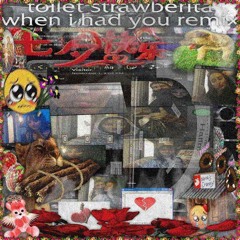 toilet strawberita when i had you remix_2.wav4.wav ˙◠˙