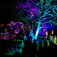Delah @ Tuzina Groove 2022 DJ - Set