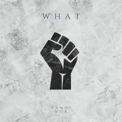 Pandi, Vox - What? (Unity Out Now)
