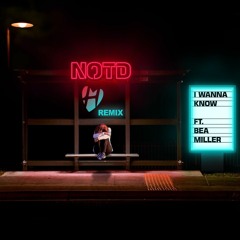 NOTD and Bea Miller - I wanna know (FrosT REMiX)