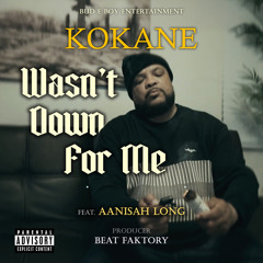 Wasn't Down For Me (feat. Aanisah Long)