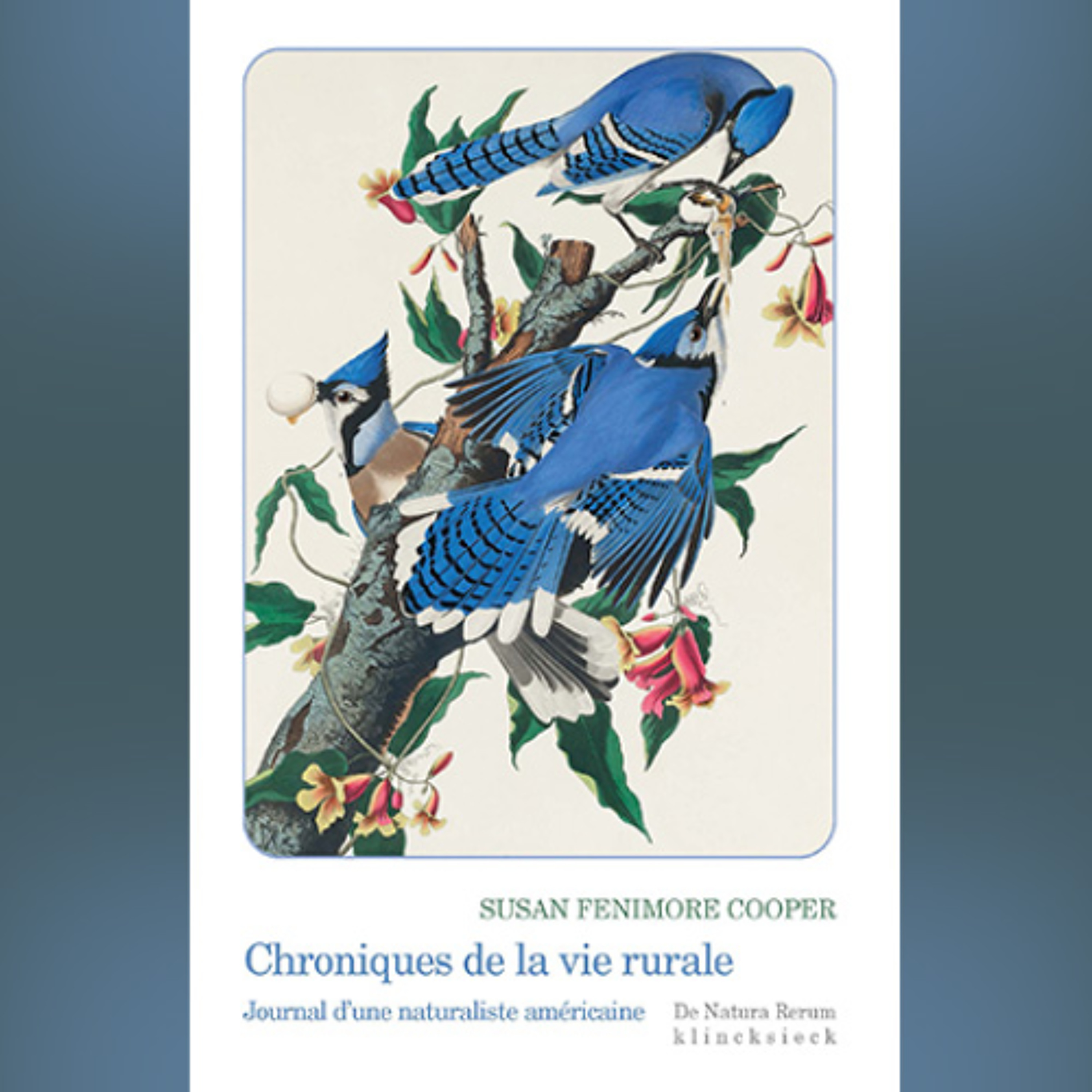 Susan Fenimore Cooper - Chroniques de la vie rurale. Journal d’une naturaliste américaine episode artwork