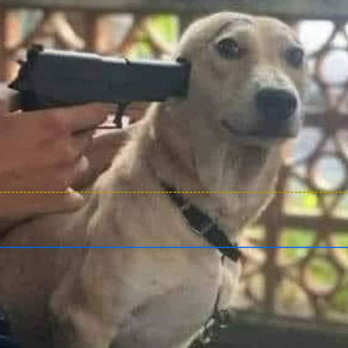 You Spin My Round 2023 - HM Remake