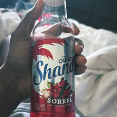 DJ Dice Reggae R&B QuickMix -