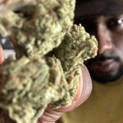 WHAT YA LIKE