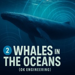 🎥🎬 2-🐳Whales in The 🌊📡Oceans (OK Engineering).mov.m4a