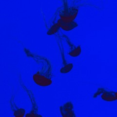 Silance