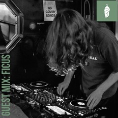 GUEST MIX: Ficus
