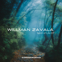 Willman Zavala - Life Things