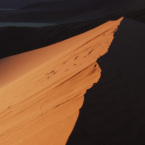 Dune