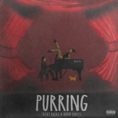 Purring (Prod. Ricky Racks x Audio Cartel)