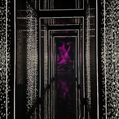 Down the Rabbit Hole