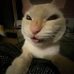 With My Hoe! (Remix)