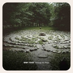 Through The Maze