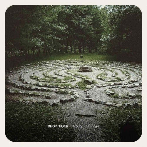Through The Maze
