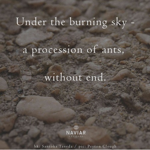 Under the burning sky (naviarhaiku622)