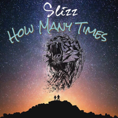 Slizz - How Many Times