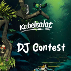 Kabelsalat 2025 DJ Contest - maetix