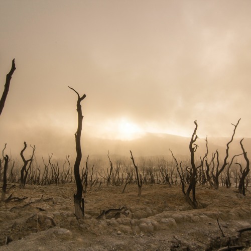 Barren Light (2023)